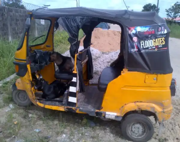 Bizarre!!: Meet Goat & Dog that own a Keke (Tricycle)